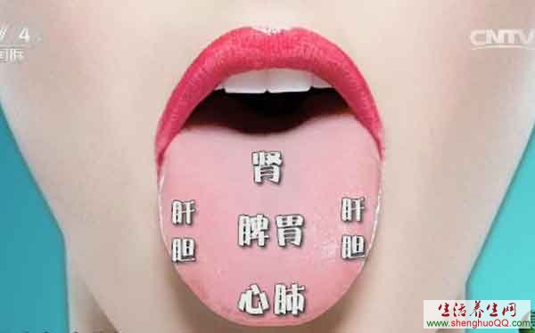 舌头不同位置与五脏的对应位置