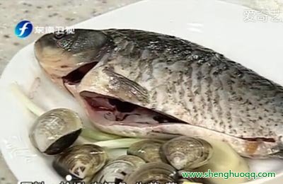 蛤蜊鲫鱼汤的原料