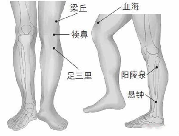 阳陵泉穴位位置图