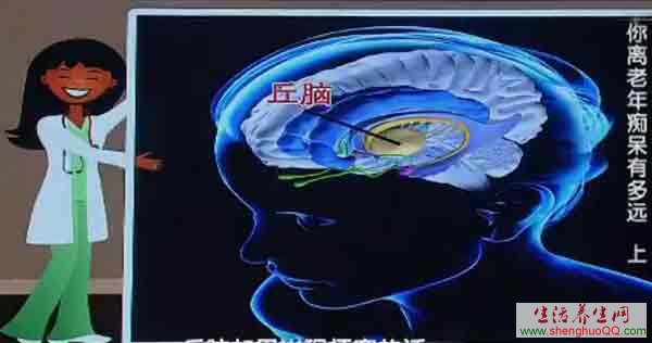 丘脑