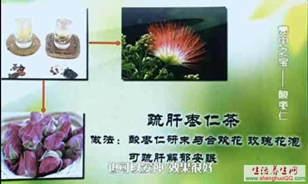 疏肝枣仁茶