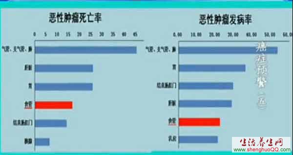 食管癌的死亡率和发病率