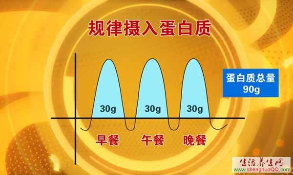 规律摄入蛋白质