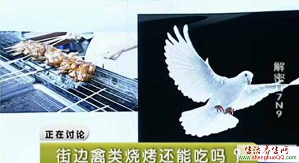 禽流感H7N9