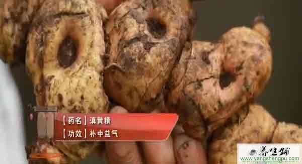 黄精的功效