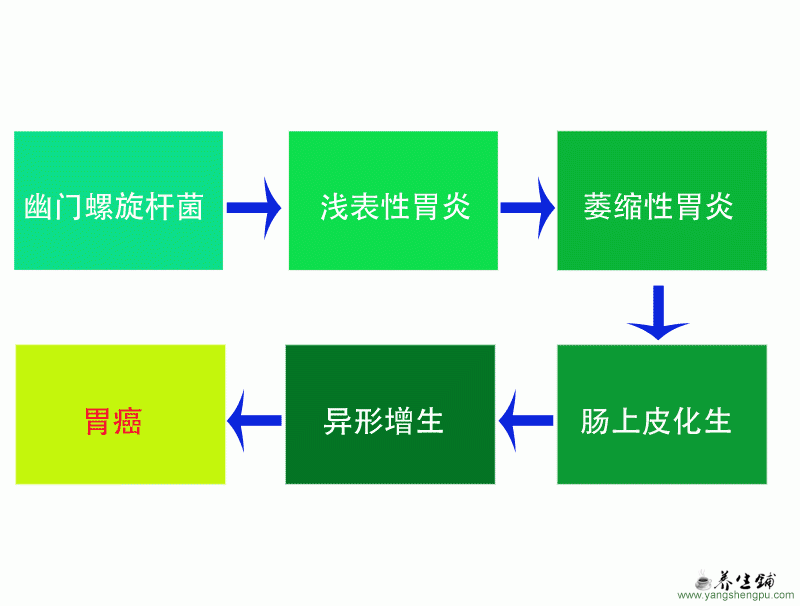 萎缩性胃炎的发展过程