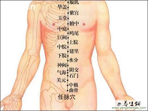 关元穴的位置