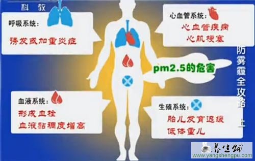 PM2.5的危害