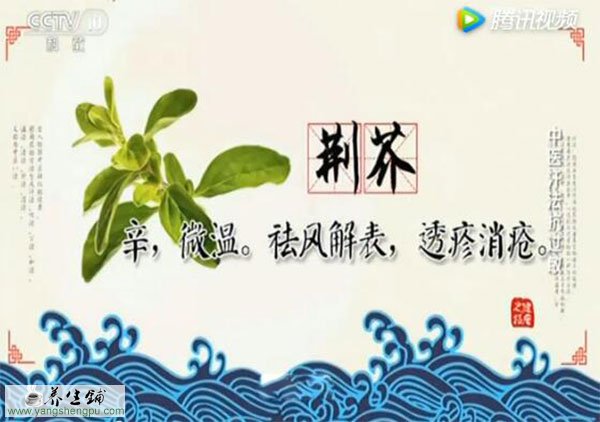 荆芥的功效与作用