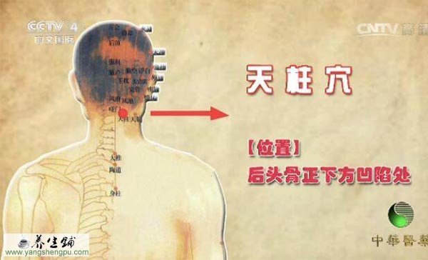 天柱穴