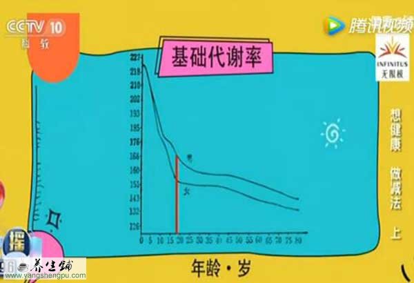 基础代谢率