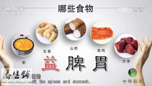 哪些食物益脾胃