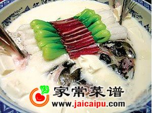 奶汤竹荪鲍鱼
