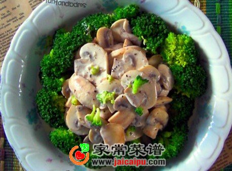 奶香蘑菇汤