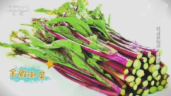 菜薹