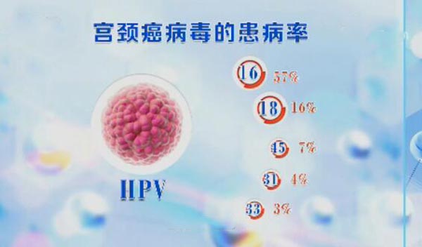 高危的HPV毒型号