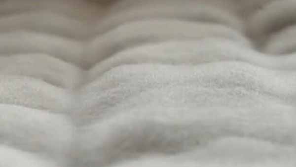 毛豆腐