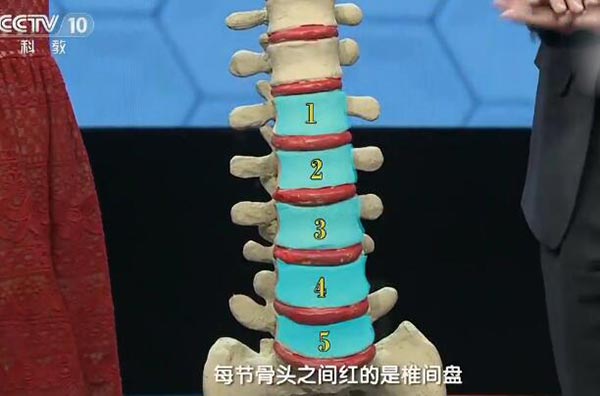 腰椎
