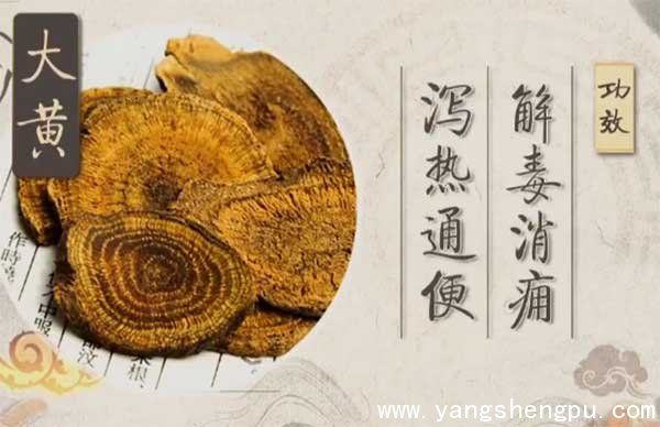 大黄的功效