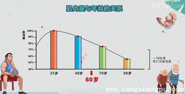 肌肉量与年龄的关系