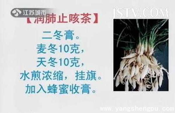 润肺止咳茶