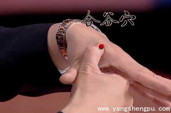 合谷穴的找法