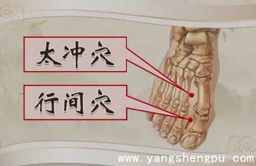 太冲穴与行间穴