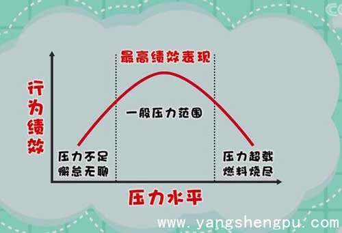压力与动力的关系
