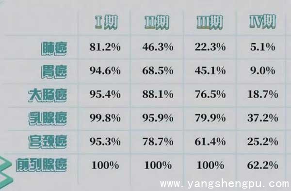 不同时间段不同时期的生存率