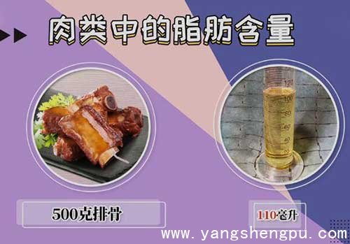 排骨的脂肪含量