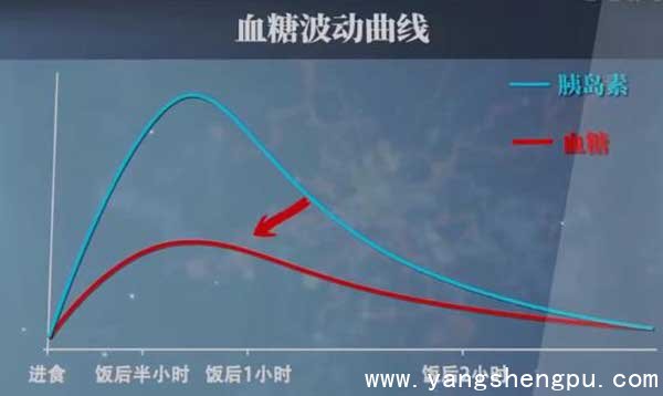 正常人血糖波动曲线