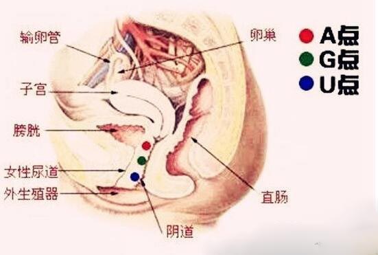 G点的位置