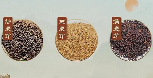 麦芽的种类分为哪三种