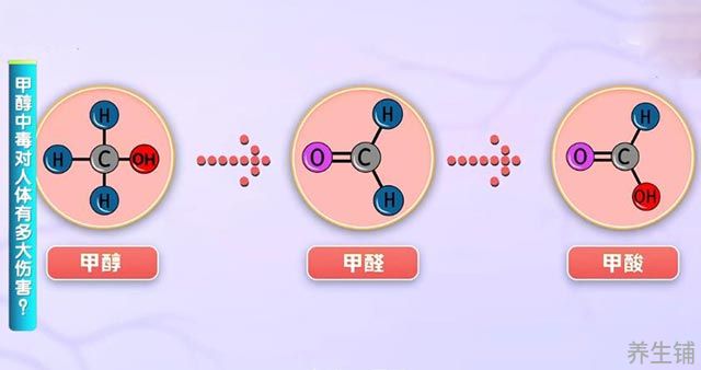 甲醇在人体的代谢过程