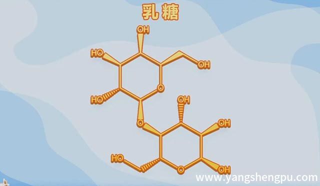 乳糖的结构