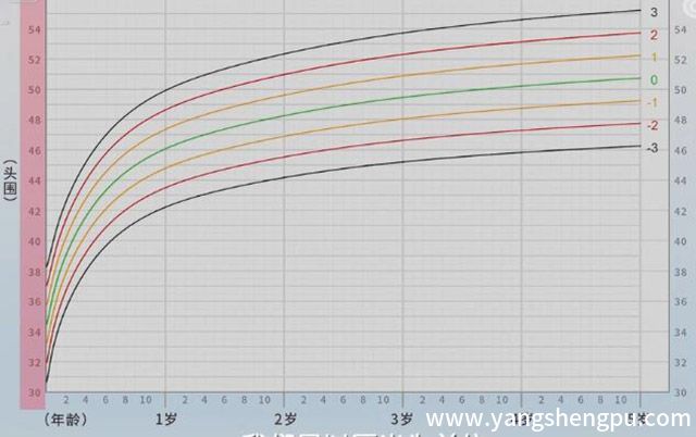 婴儿的正常头围是多少