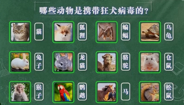 哪些动物会携带狂犬病毒