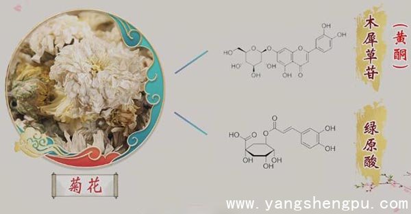 菊花