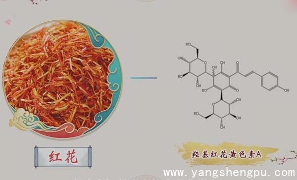 现代医学对红花的认识